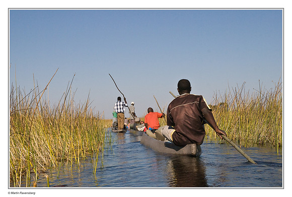 Traveling by mokoro's in the Okavango Delta - Botswana