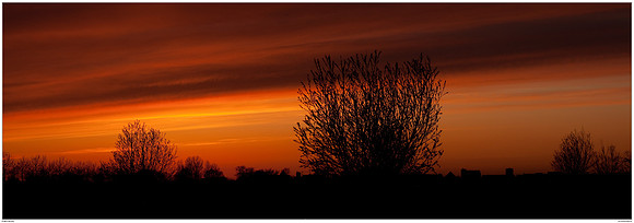 Sunset after the volcanic eruption of the Eyjafjallajökull volcano in Iceland near Hazerswoude in the meadow birds reserve De Wilck