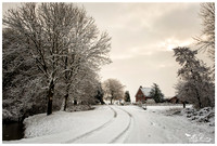 Winter 2017