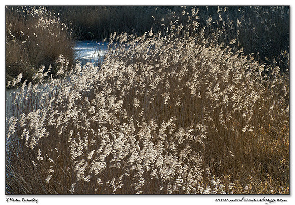 Nature Park Lelystad