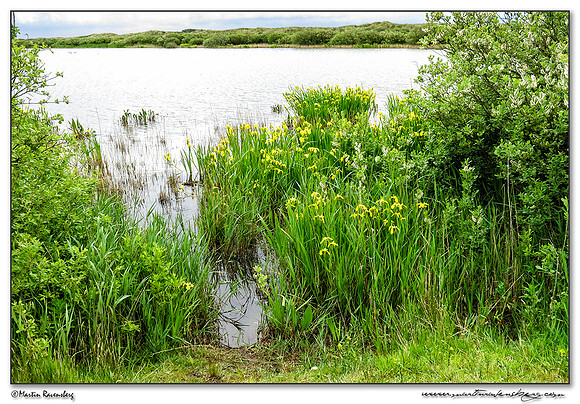 The Mokbaai and De Petten nature areas at Texel