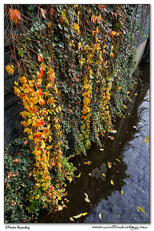 Downtown Gouda