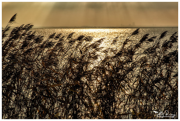 Markermeer