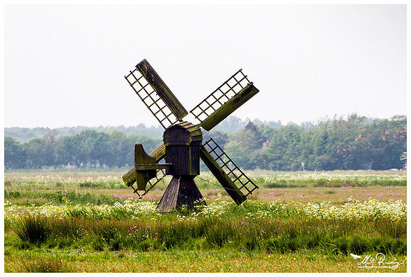 A windmill at the Polder Waal en Burg at Texel