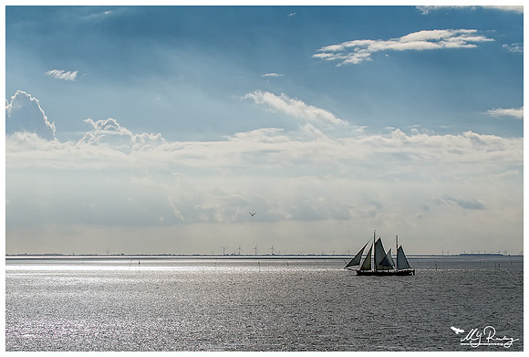 The Wadden Sea