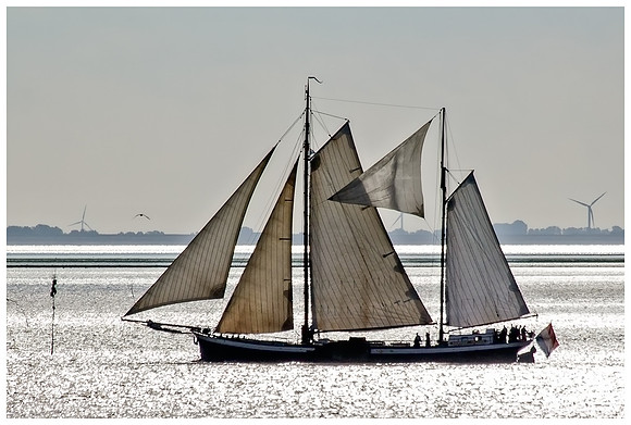 Ship at the Wadden Sea
