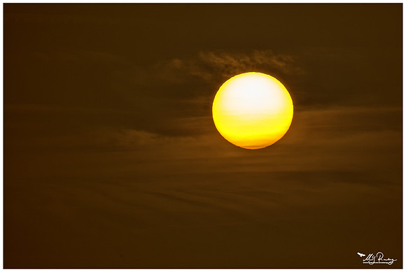 Sunrise at Rehdener Geestmoor.