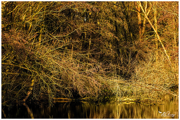 Nature Park Lelystad