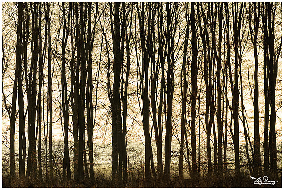 Nature Park Lelystad