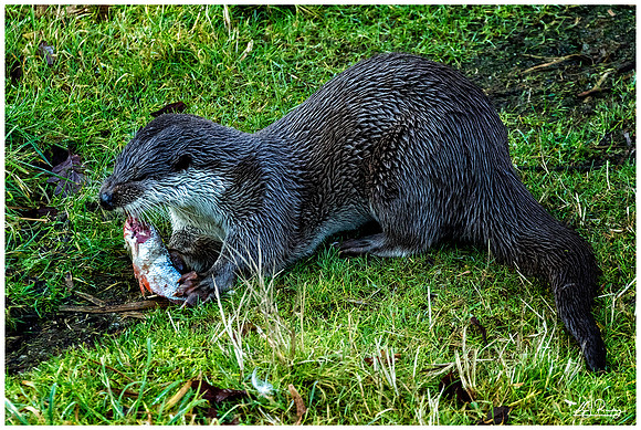 Nature Park Lelystad