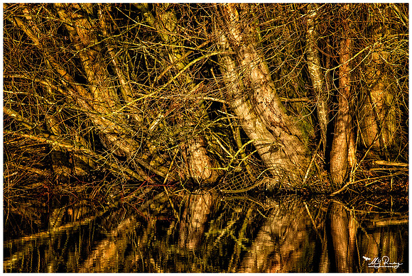 Nature Park Lelystad