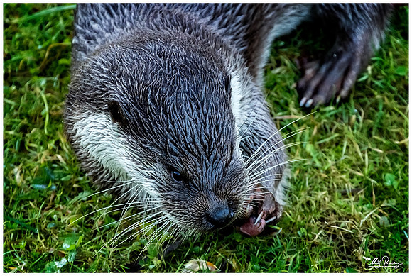 Nature Park Lelystad