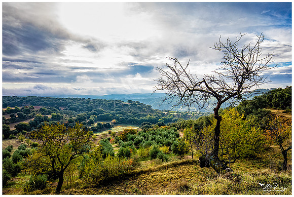 The surroundings of Bierge