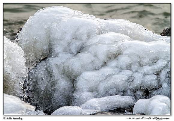 Ice sculptures at the Oostvaardersplassen -  Flevoland