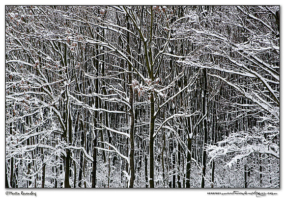 Winter at the Spookverlaat near Hazerswoude