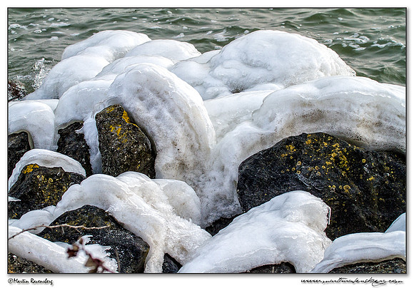 Ice sculptures at the Oostvaardersplassen -  Flevoland