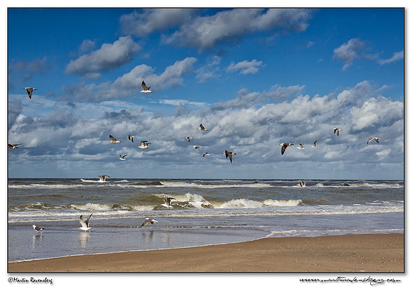 The North Sea near the Amsterdamse Waterleiding Duinen Nature Reserve