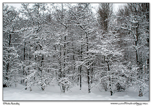 Winter at the Spookverlaat near Hazerswoude
