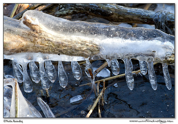 Ice sculpture at the Noord AA at Zoetermeer