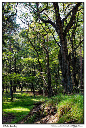 Hoge Veluwe National Park