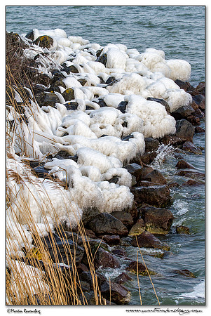Ice sculptures at the Oostvaardersplassen -  Flevoland