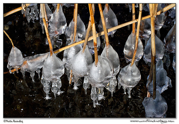 Ice sculpture at the Noord AA at Zoetermeer