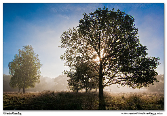 Hoge Veluwe National Park