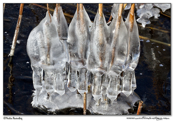 Ice sculpture at the Noord AA at Zoetermeer