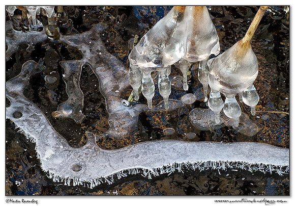 Ice sculpture at the Noord AA at Zoetermeer
