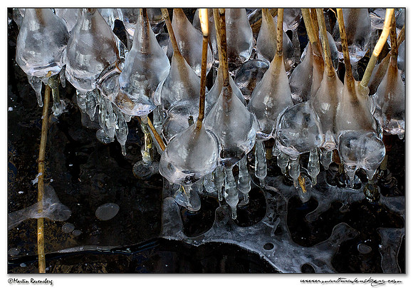Ice sculpture at the Noord AA at Zoetermeer