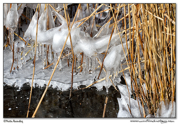 Ice sculpture at the Noord AA at Zoetermeer