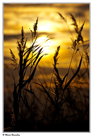 Sunset at the Spookverlaat near Hazerswoude