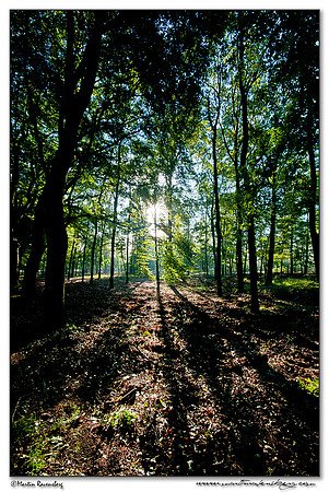Hoge Veluwe National Park