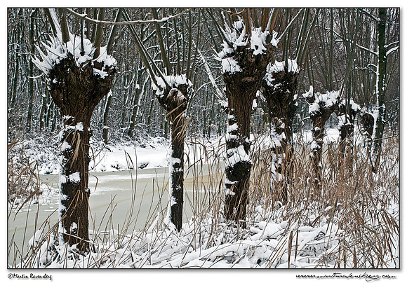 Winter at the Spookverlaat near Hazerswoude