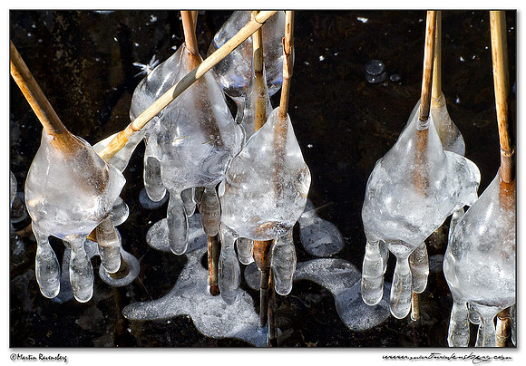 Ice sculpture at the Noord AA at Zoetermeer