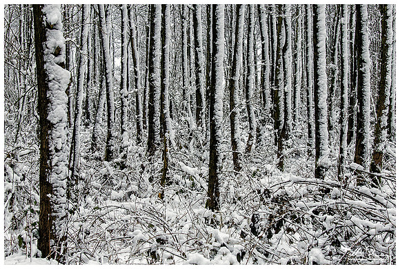 Winter in The Netherlands - Hazerswoude and surroundings