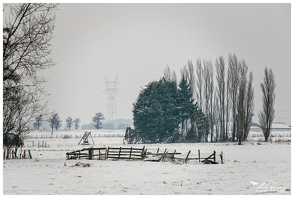Winter in The Netherlands - Hazerswoude and surroundings