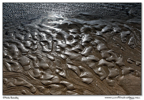 The beach of the North Sea near the Amsterdamse Waterleiding Duinen Nature Reserve