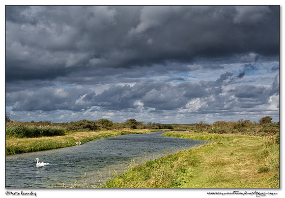 The Amsterdamse Waterleiding Duinen Nature Reserve
