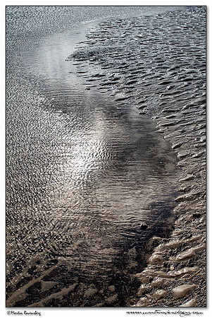 The beach of the North Sea near the Amsterdamse Waterleiding Duinen Nature Reserve