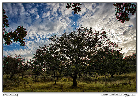 The Amsterdamse Waterleiding Duinen Nature Reserve