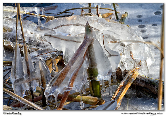 Ice sculpture at the Noord AA at Zoetermeer