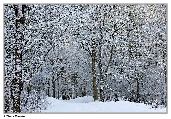 The Amsterdamse Waterleiding Duinen