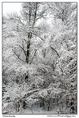 Winter at the Spookverlaat near Hazerswoude
