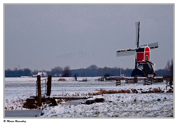Rooie Wip Molen  build in 1639 near Hazerswoude