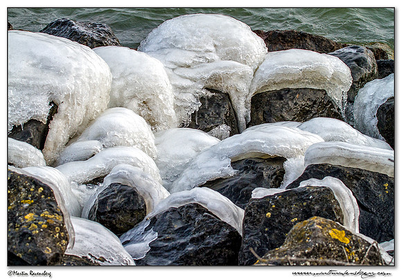 Ice sculptures at the Oostvaardersplassen -  Flevoland