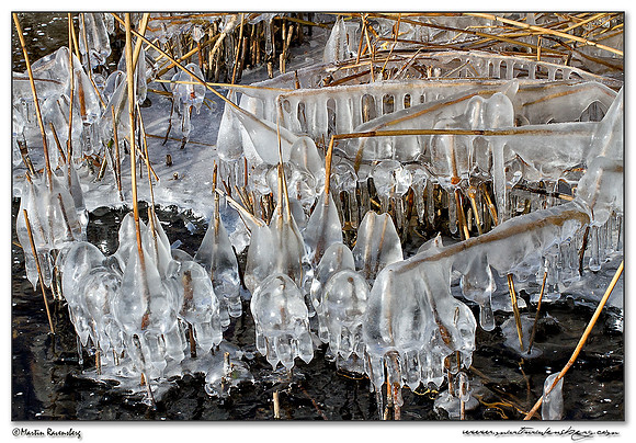 Ice sculpture at the Noord AA at Zoetermeer
