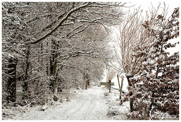Winter in The Netherlands - Hazerswoude and surroundings