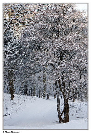 The Amsterdamse Waterleiding Duinen