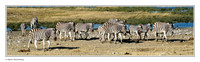 Panorama Photo's